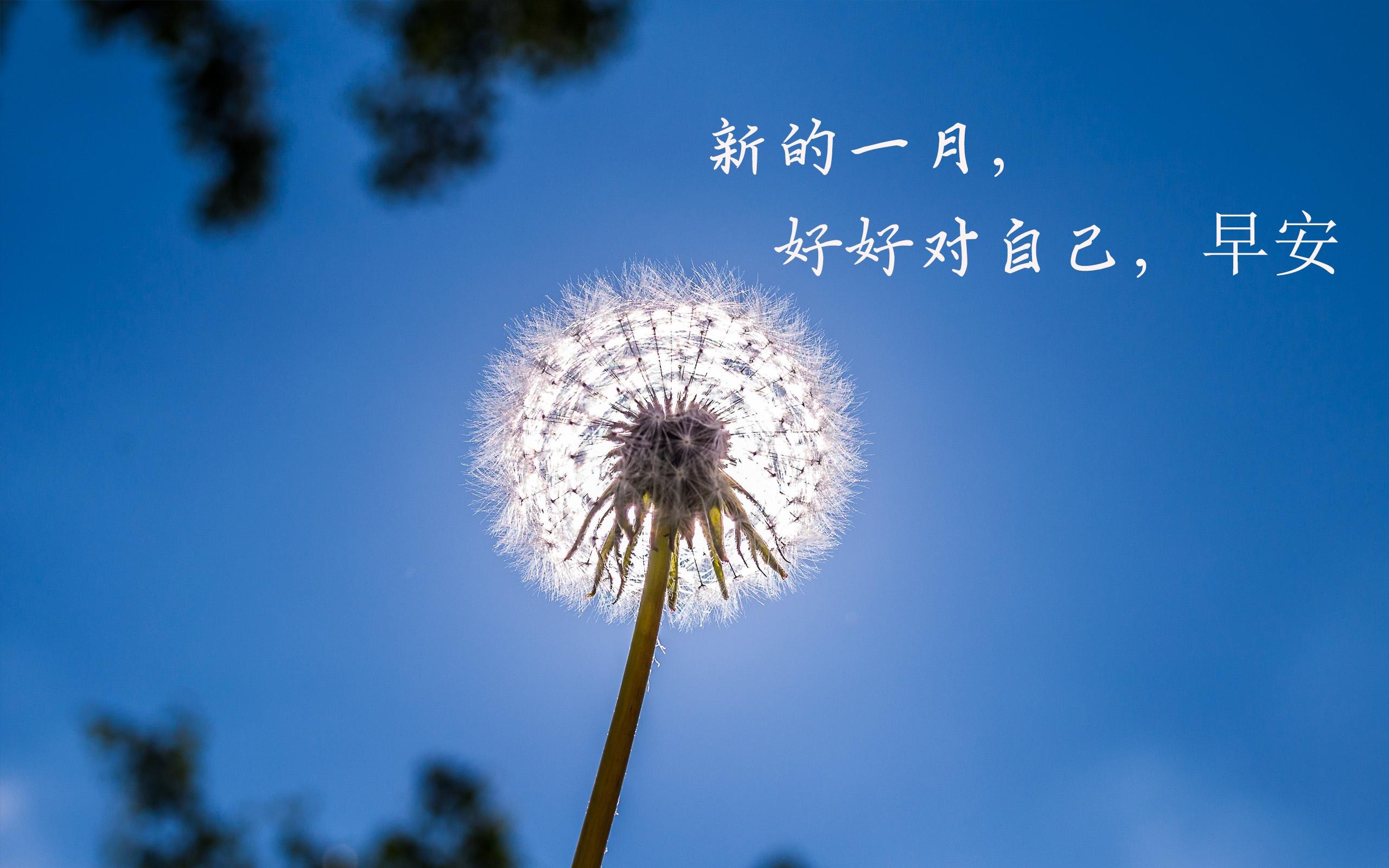 12月早安心语说说配图