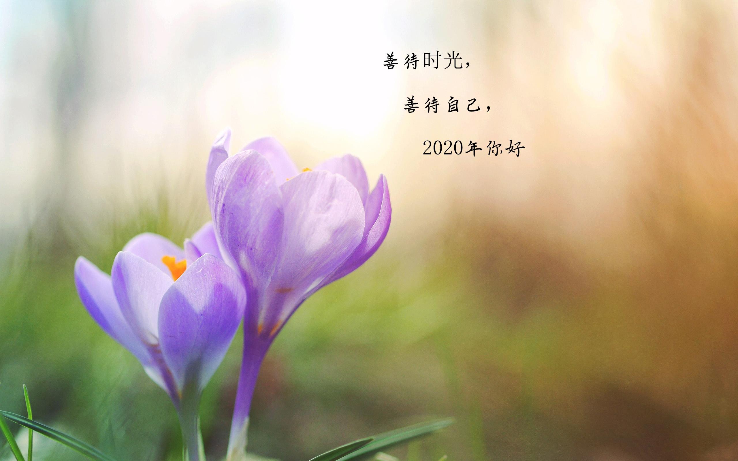 告别2019年,迎接2020年