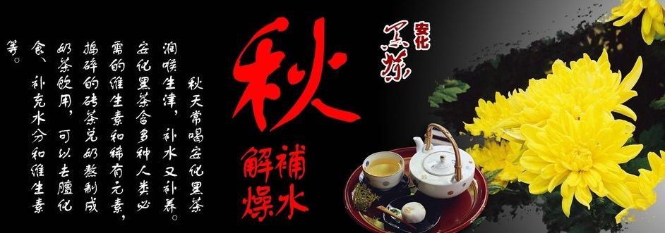 养生之道