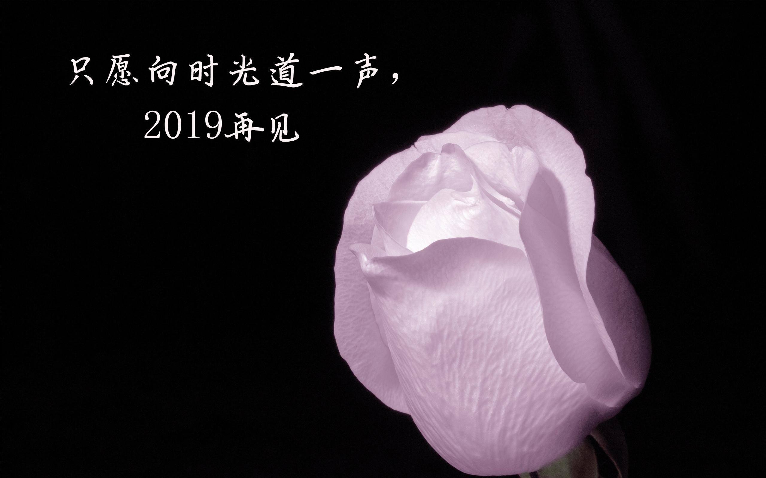 2019年结束,迎接2020年