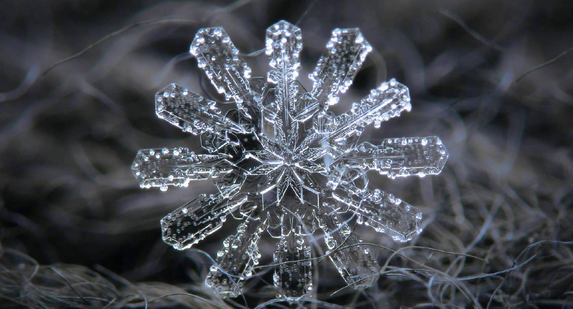 晶莹剔透的唯美雪花风光
