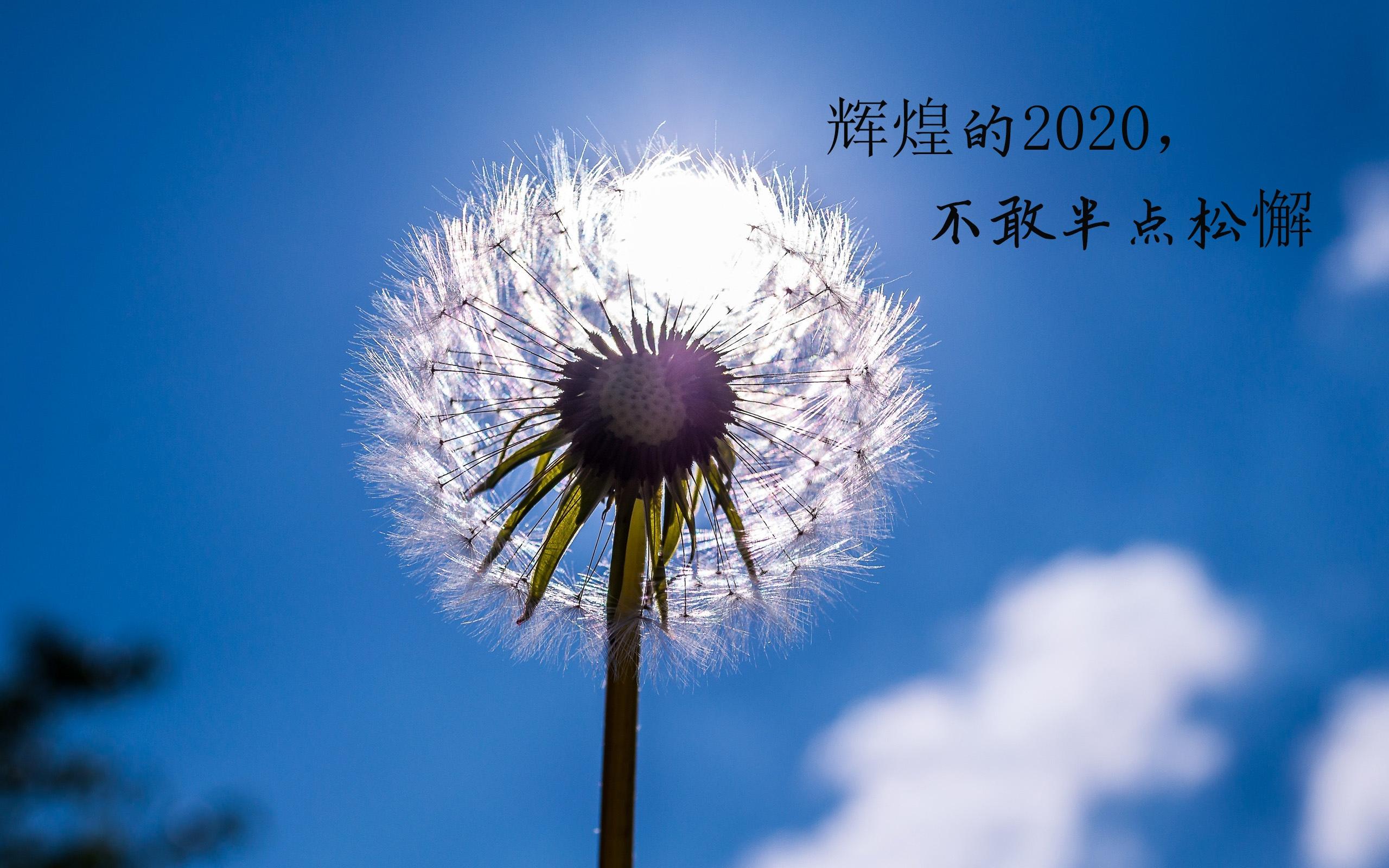 2020年跨年说说配图