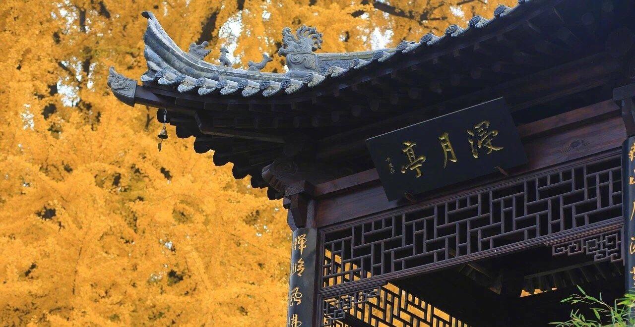 终南山古观音禅寺内的千年银杏树