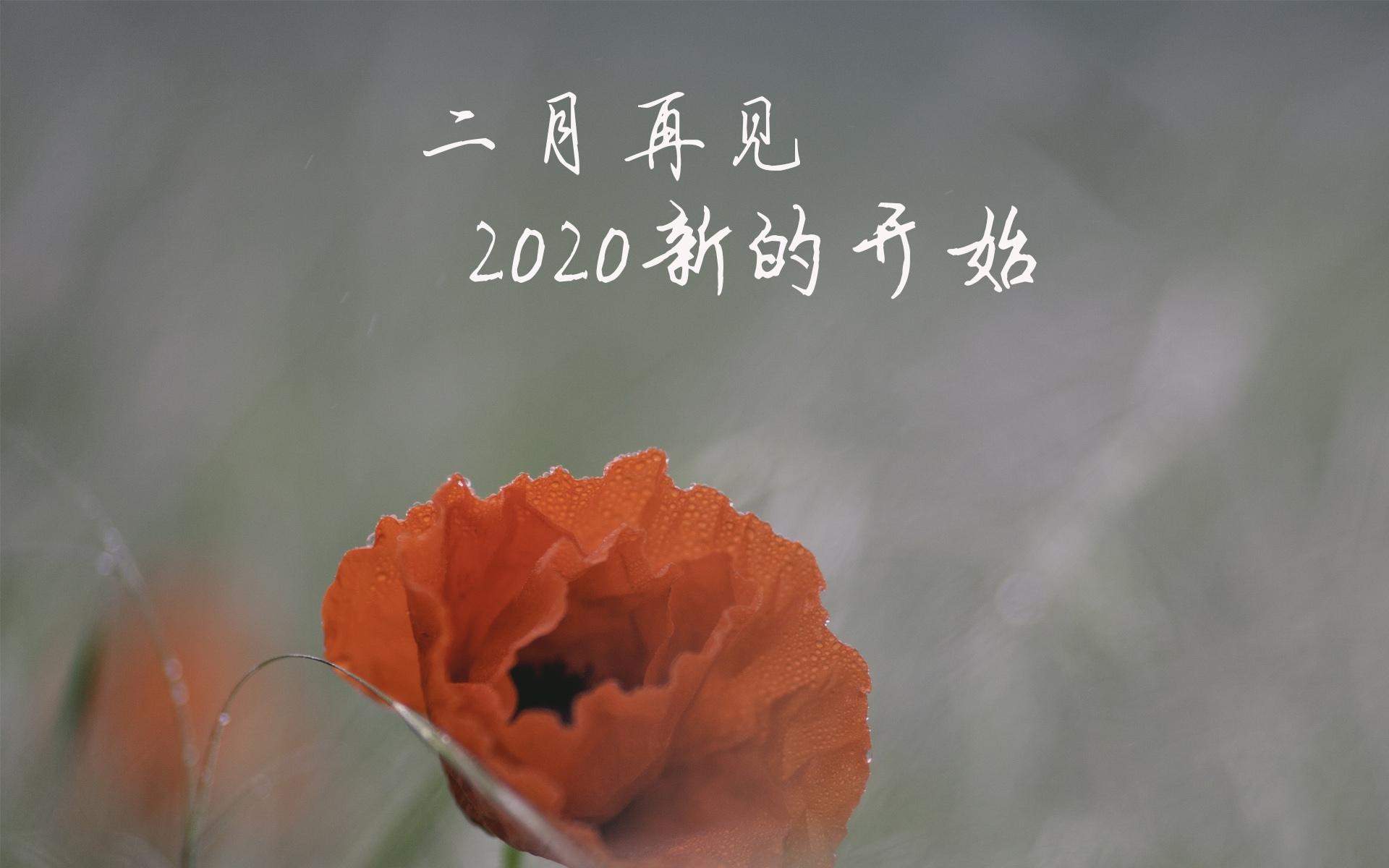 二月再见,2020新的开始