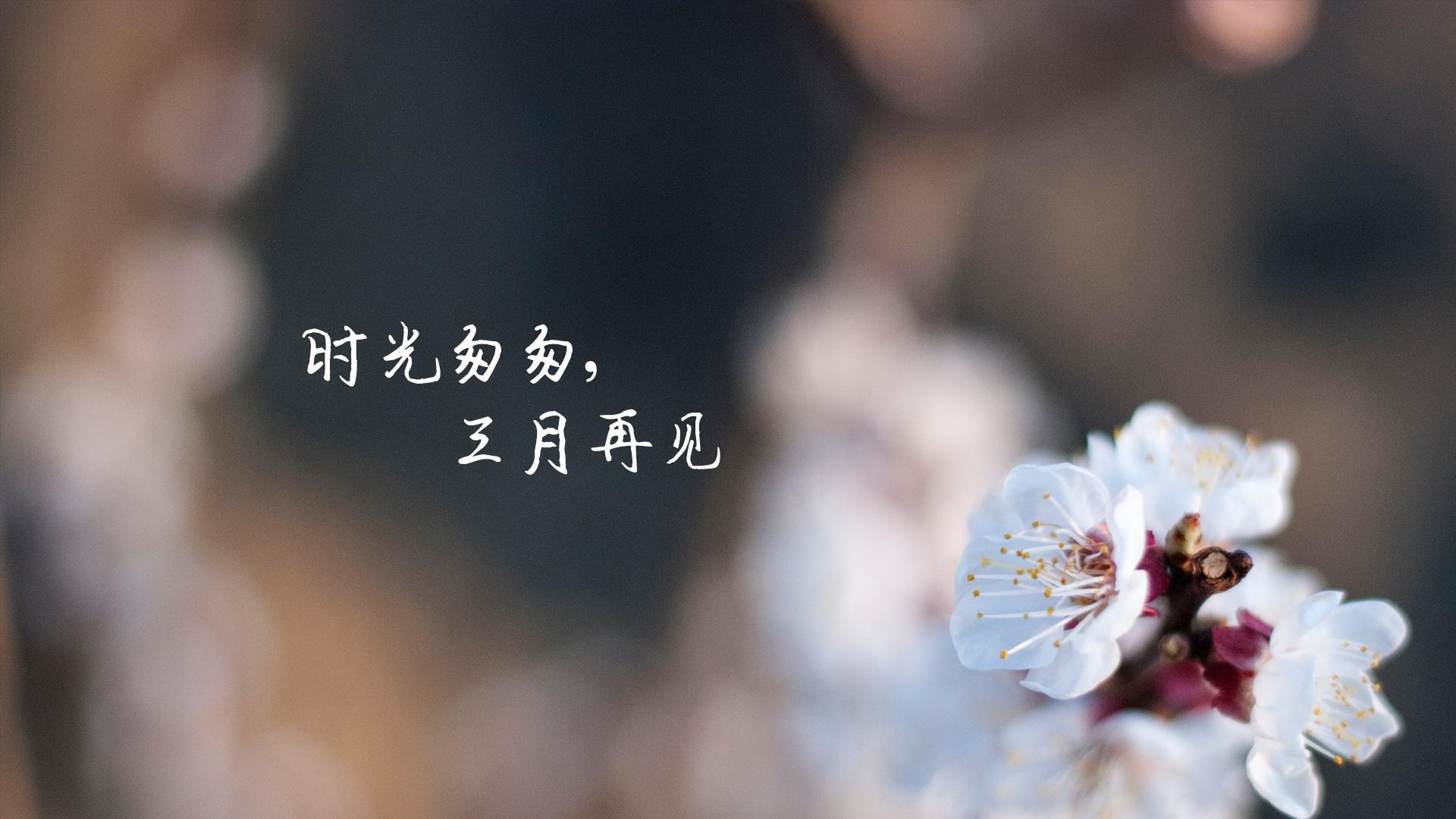 三月再见,再见过去式