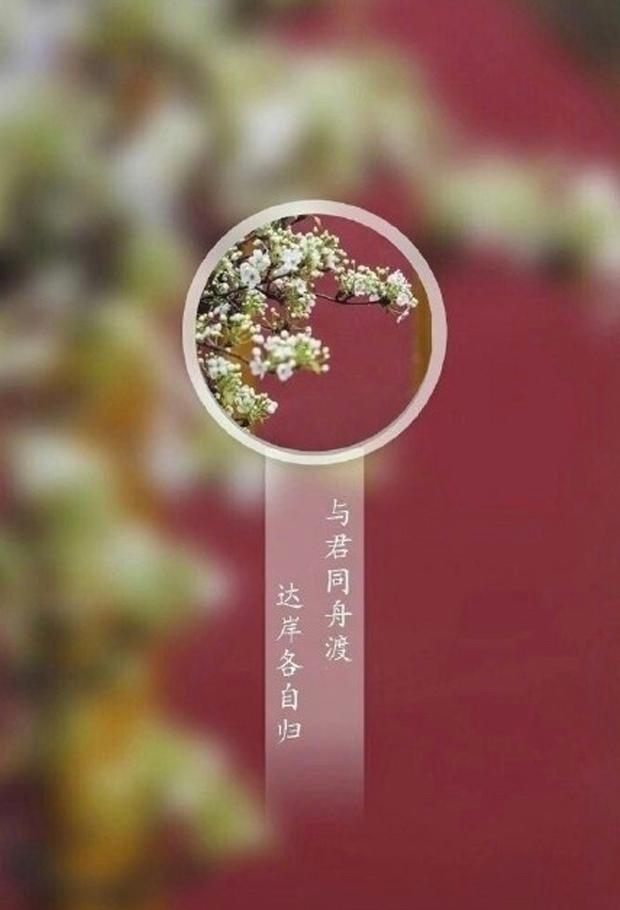用文言文说分手