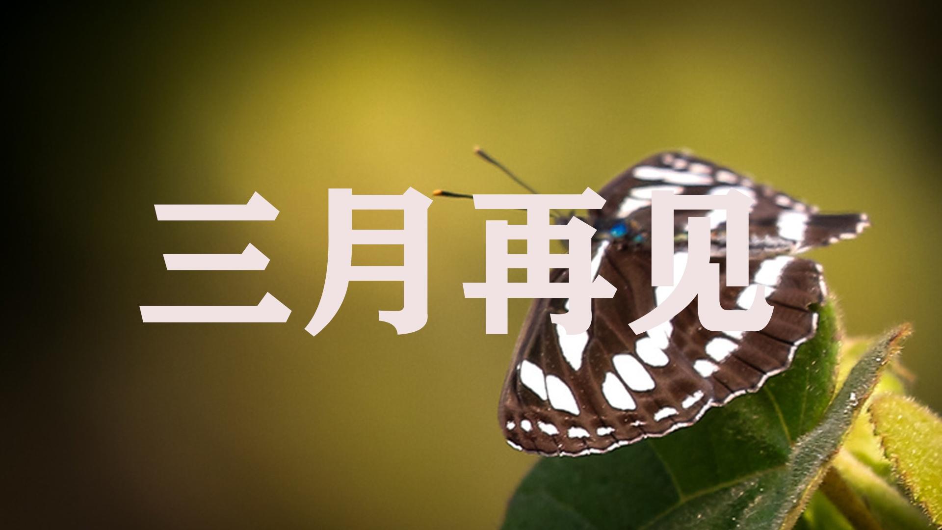 三月再见,时光流逝