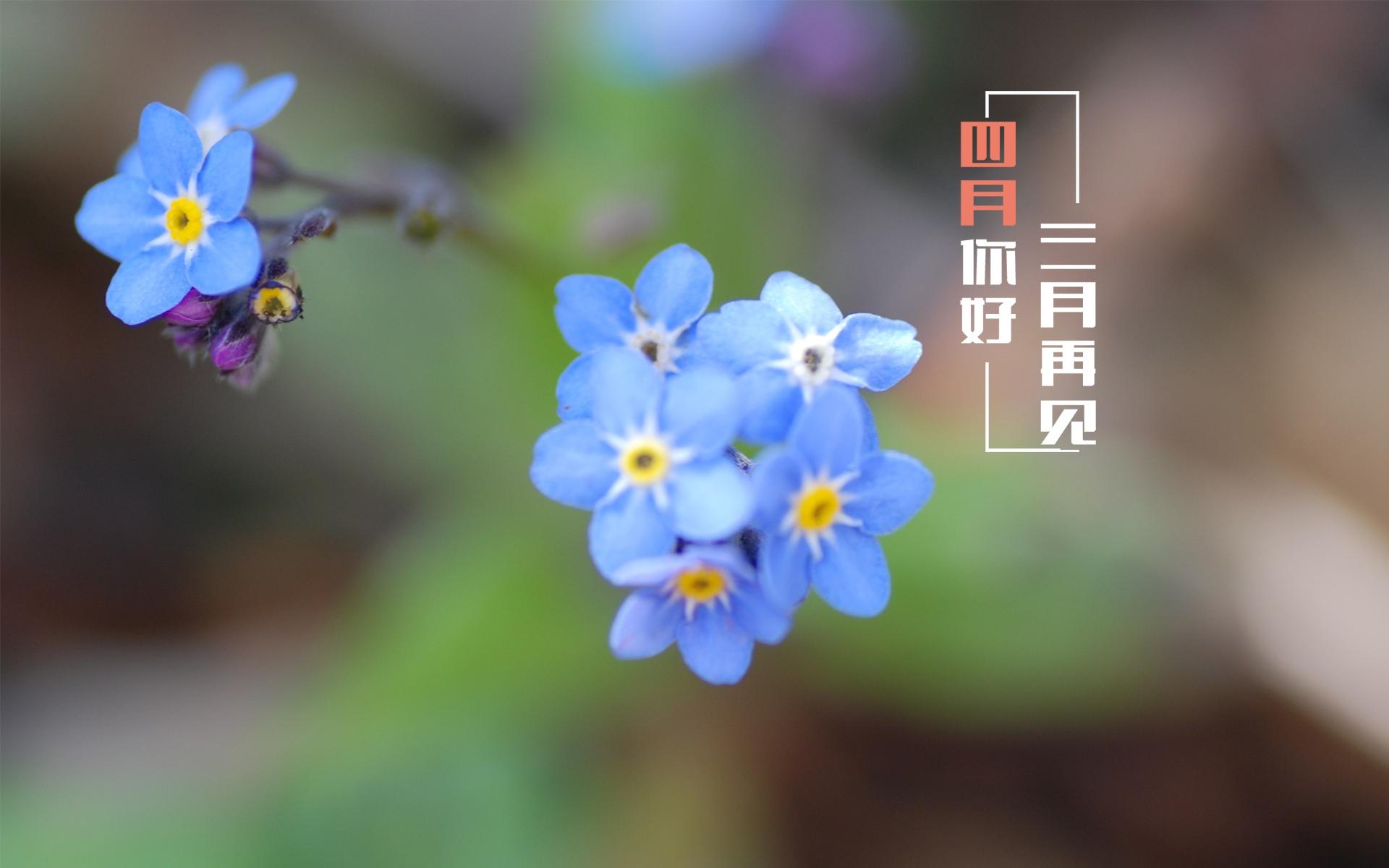 莫负春光,三月再见
