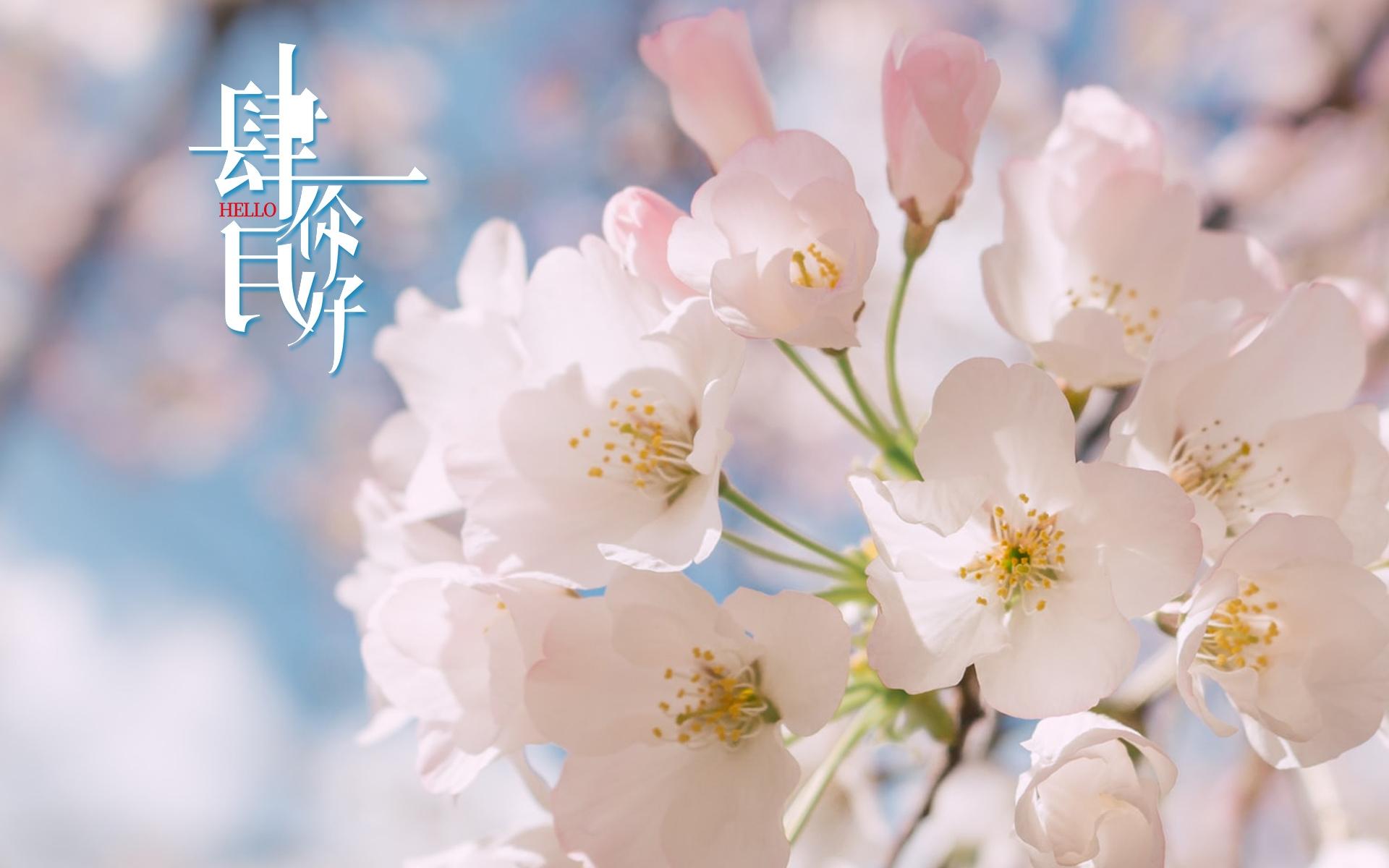 四月你好,人间四月天