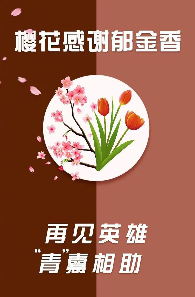援鄂英雄,江湖再见