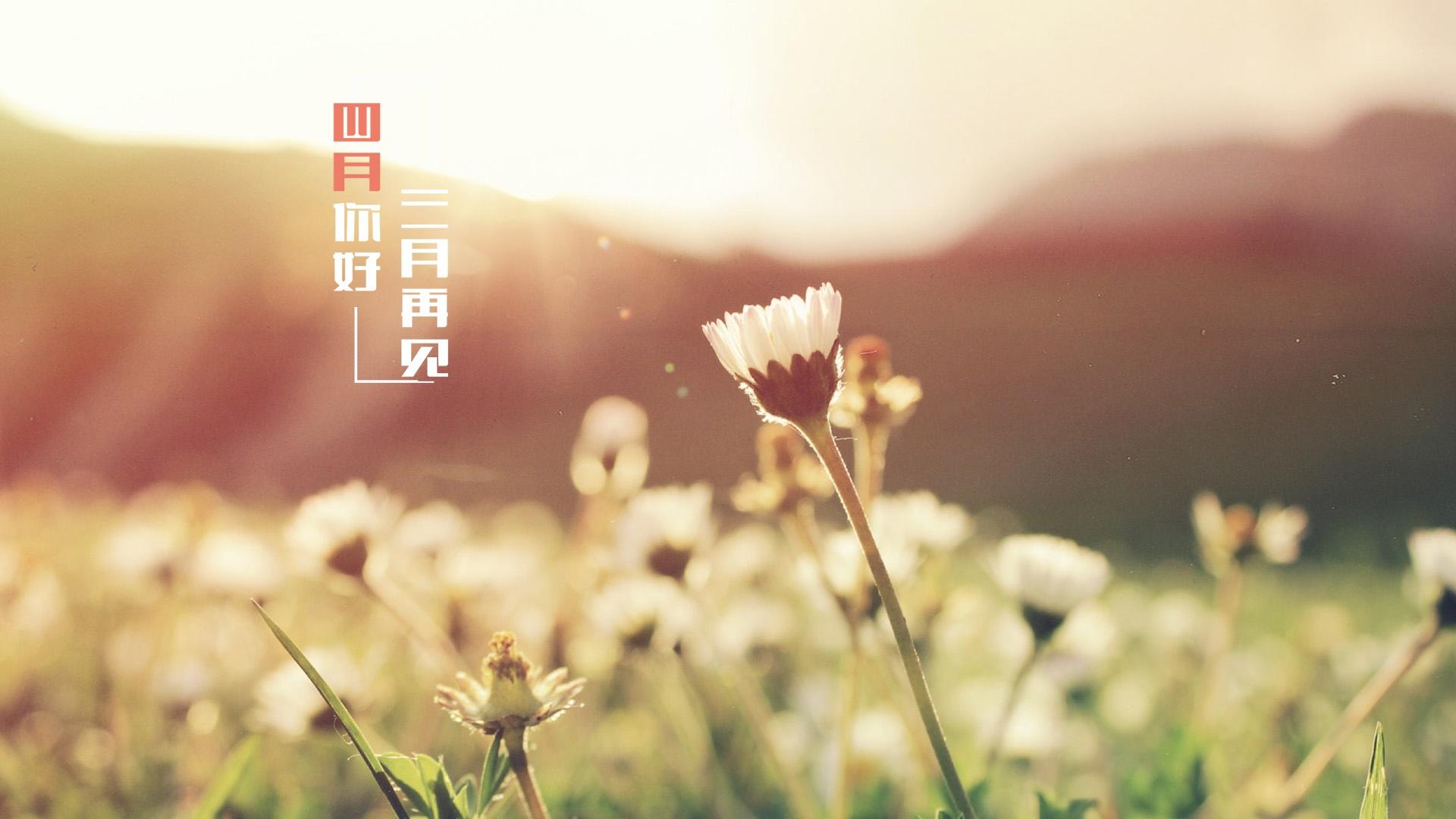 三月再见,春暖花开时