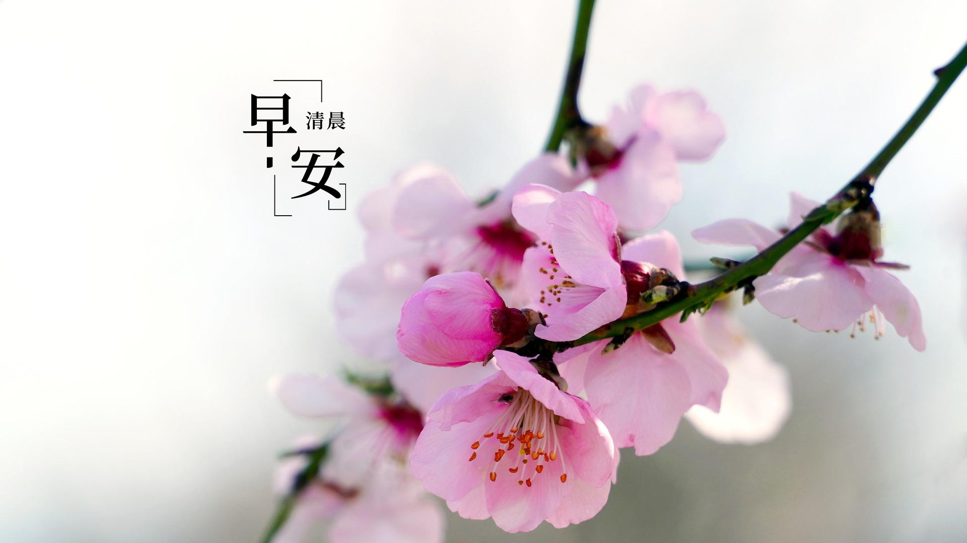 每一天一句励志暖心早安心语语录