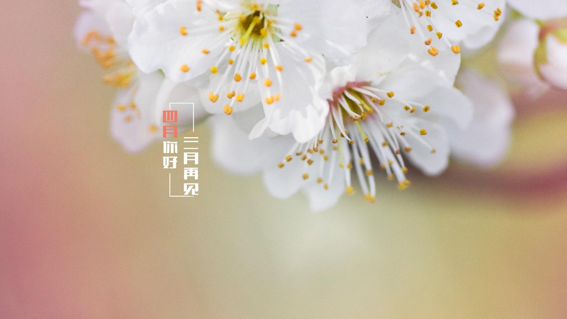你好四月,你好春天