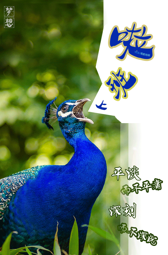 上班啦