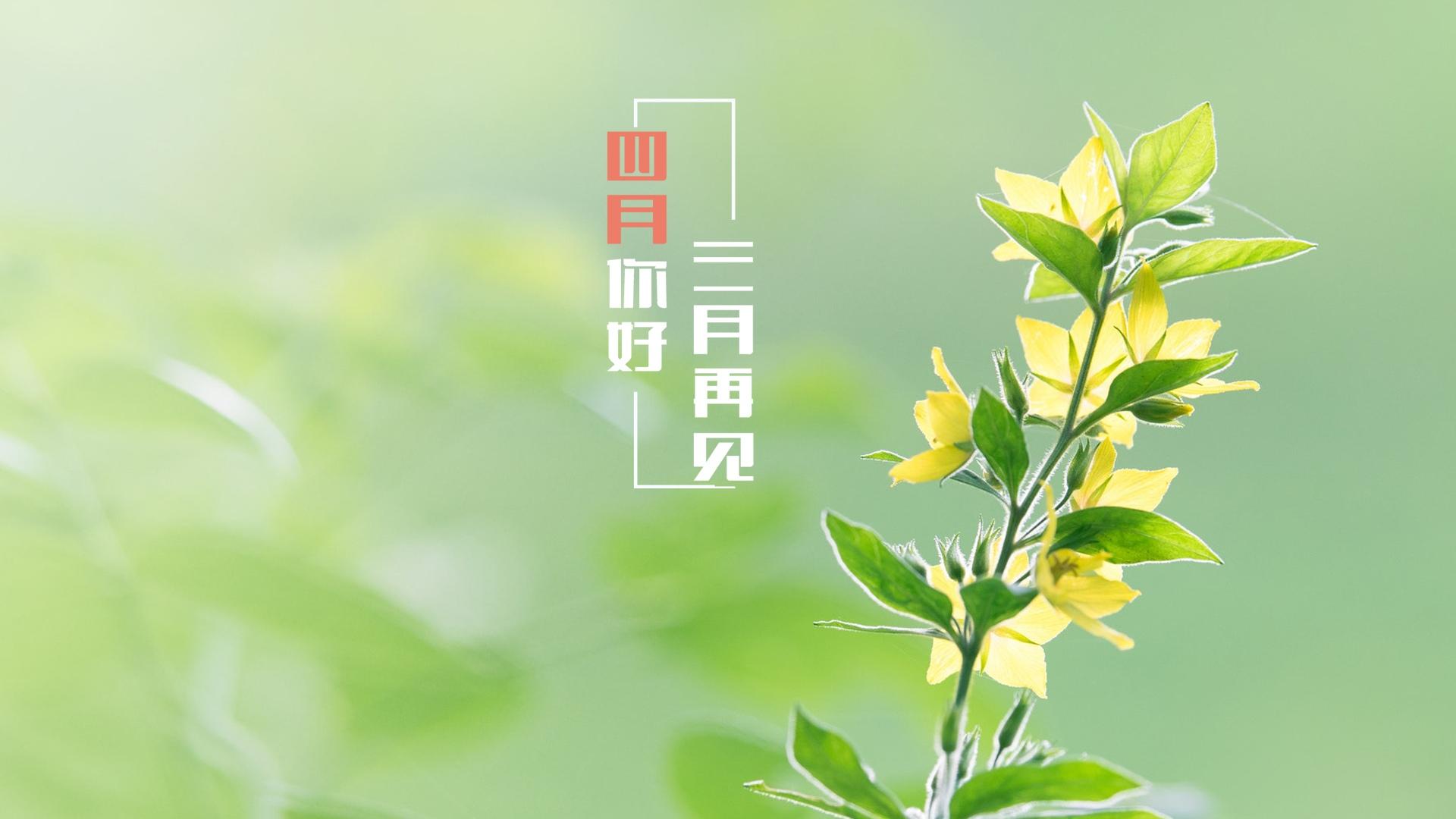 三月再见心情说说配图