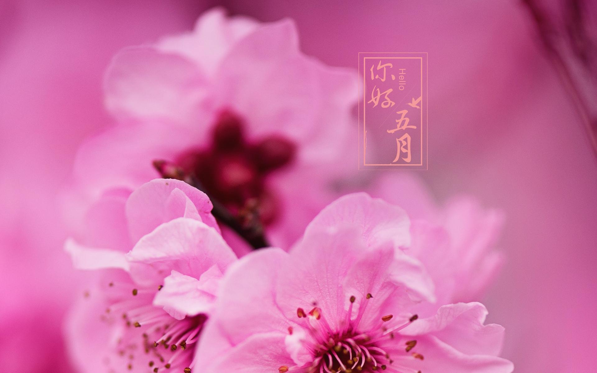 五月发朋友圈高质量励志暖心语录
