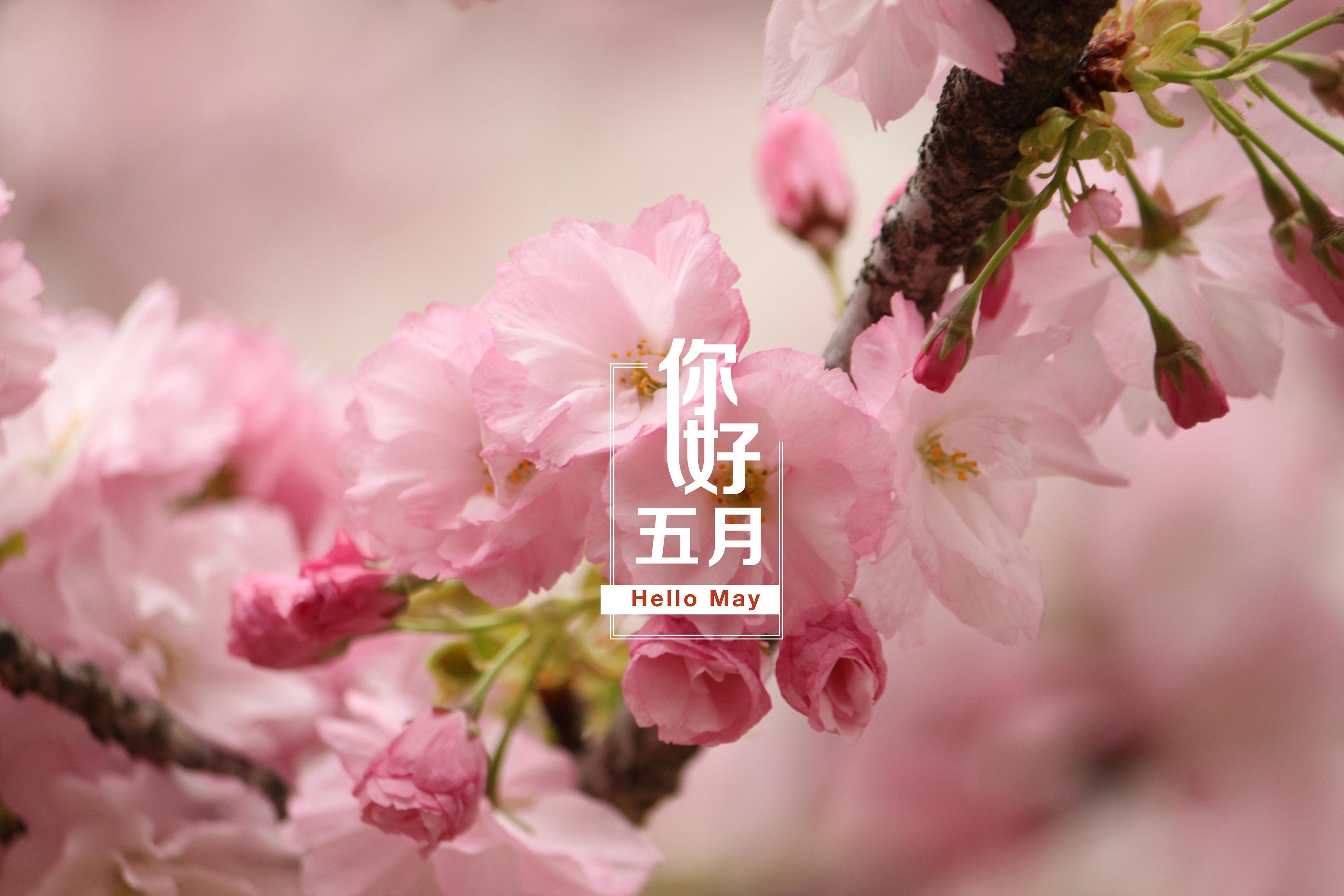 一程春色尽,人间五月来