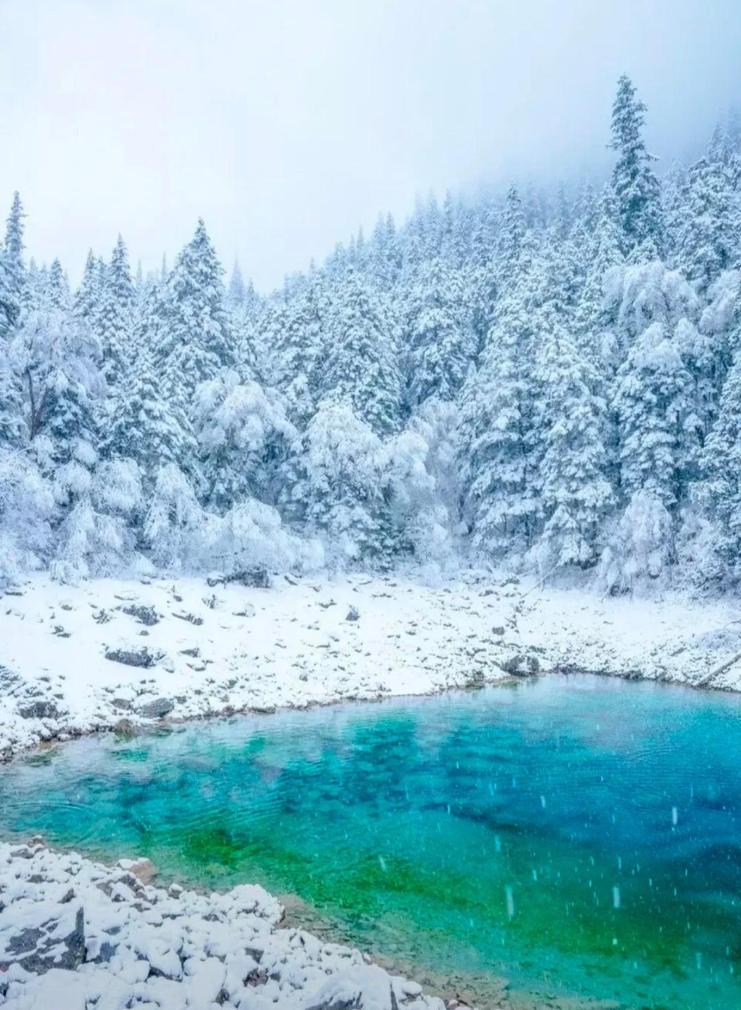 雪后九寨沟有多美