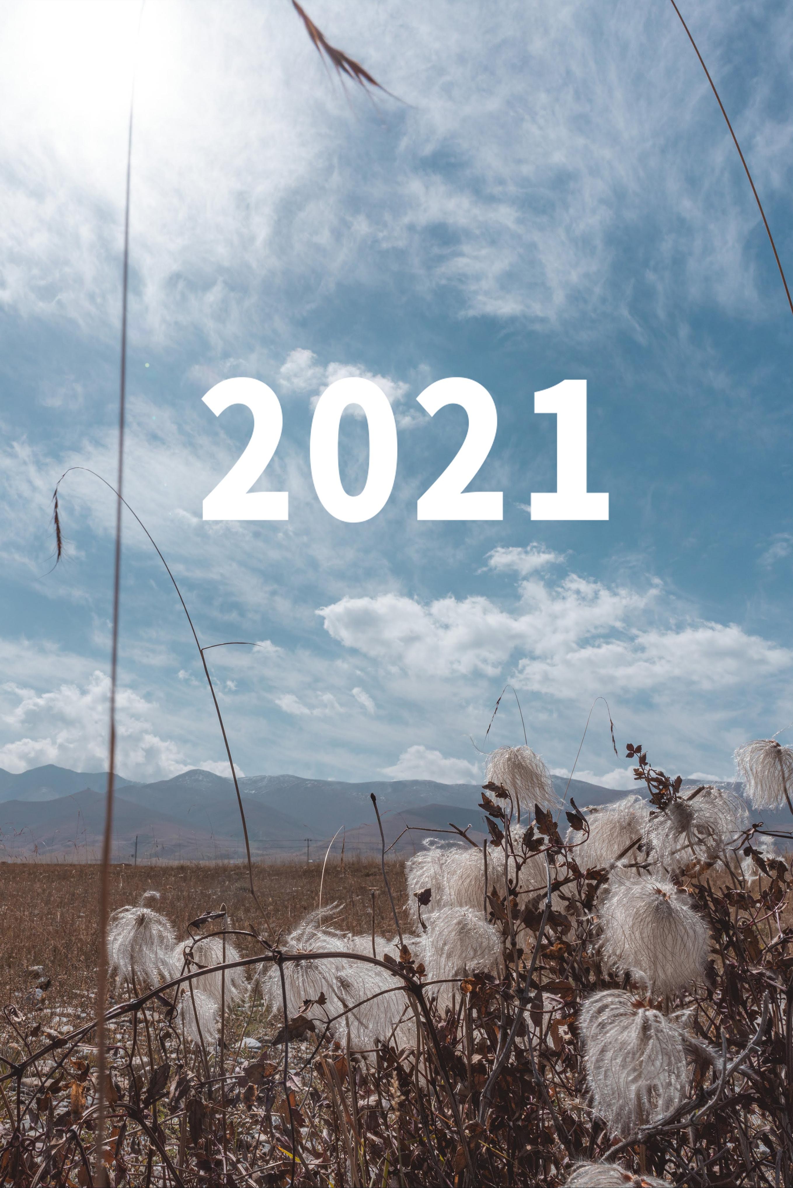 2021牛年唯美辽阔自然风光