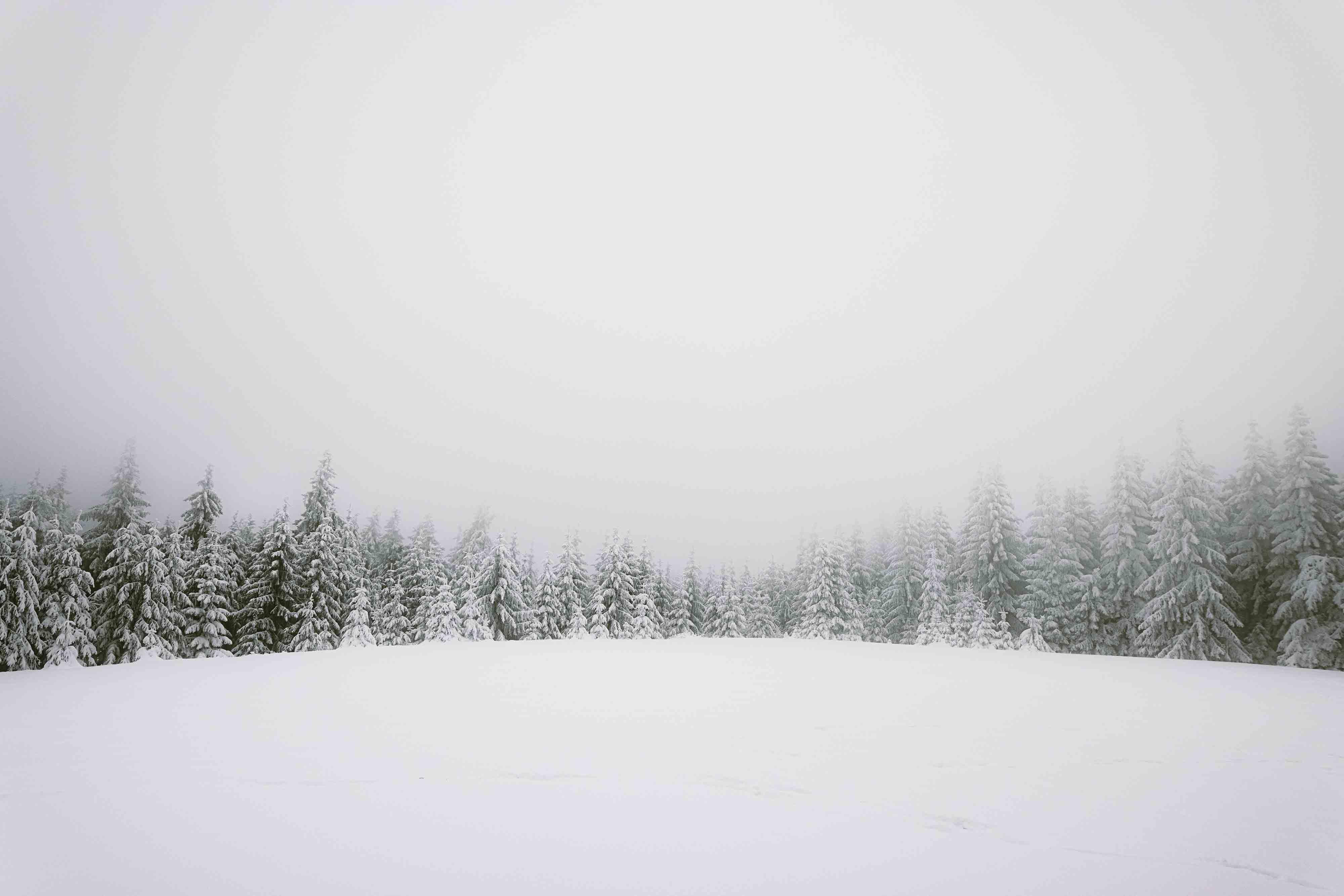 白雪皑皑的冬天