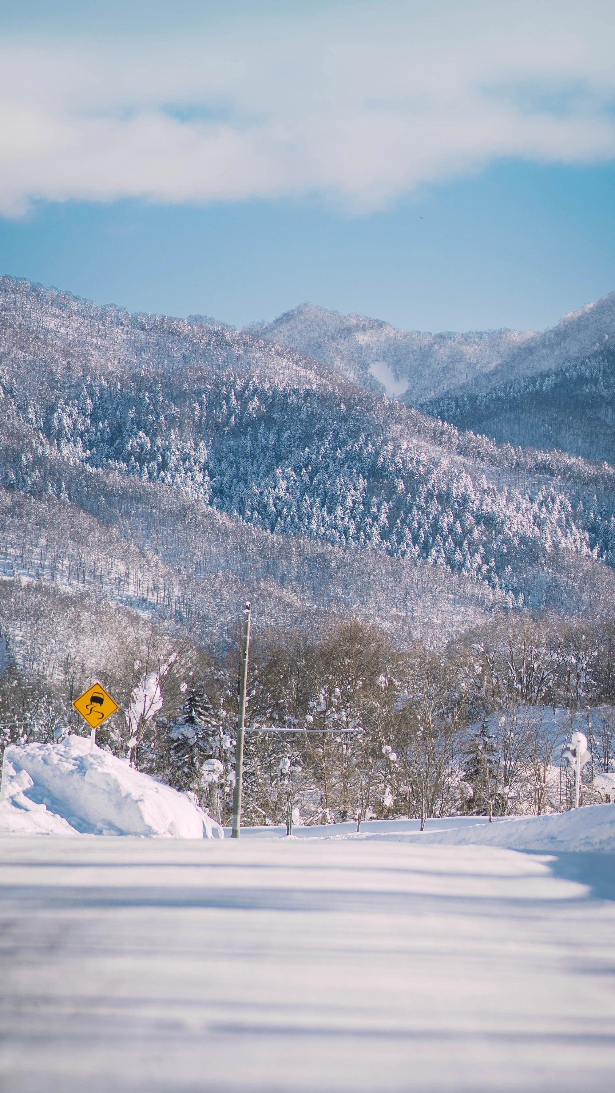 美丽的冬天雪景