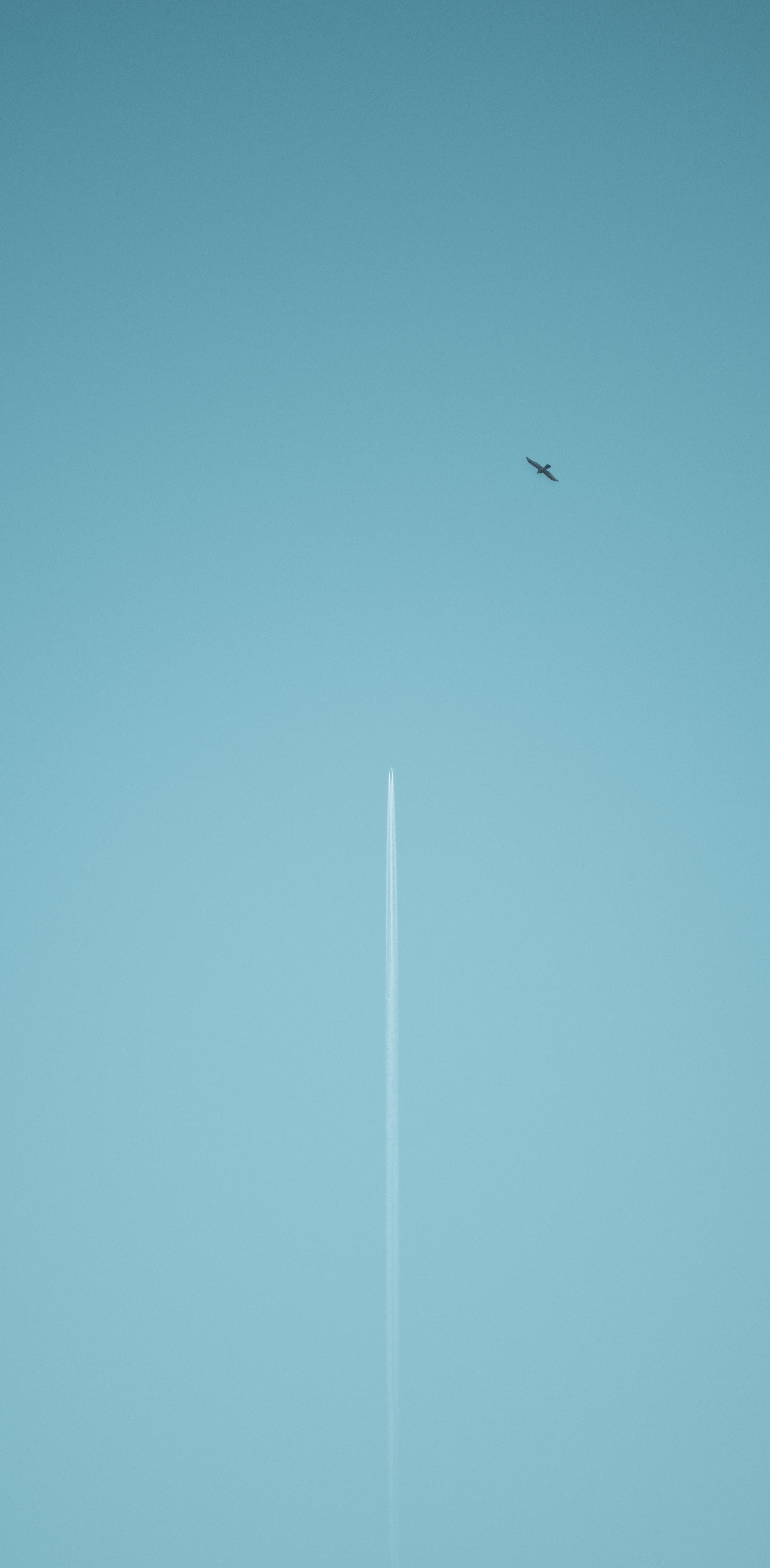 天空中的飞机