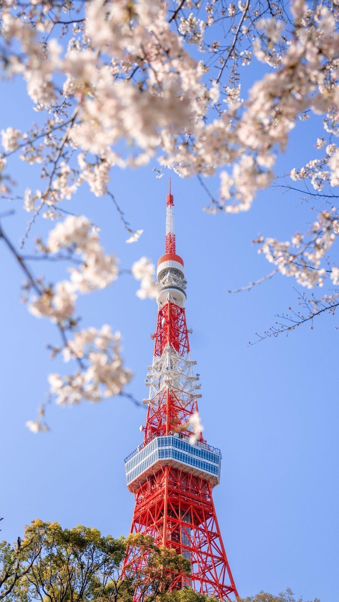 东京铁塔的浪漫春天景色