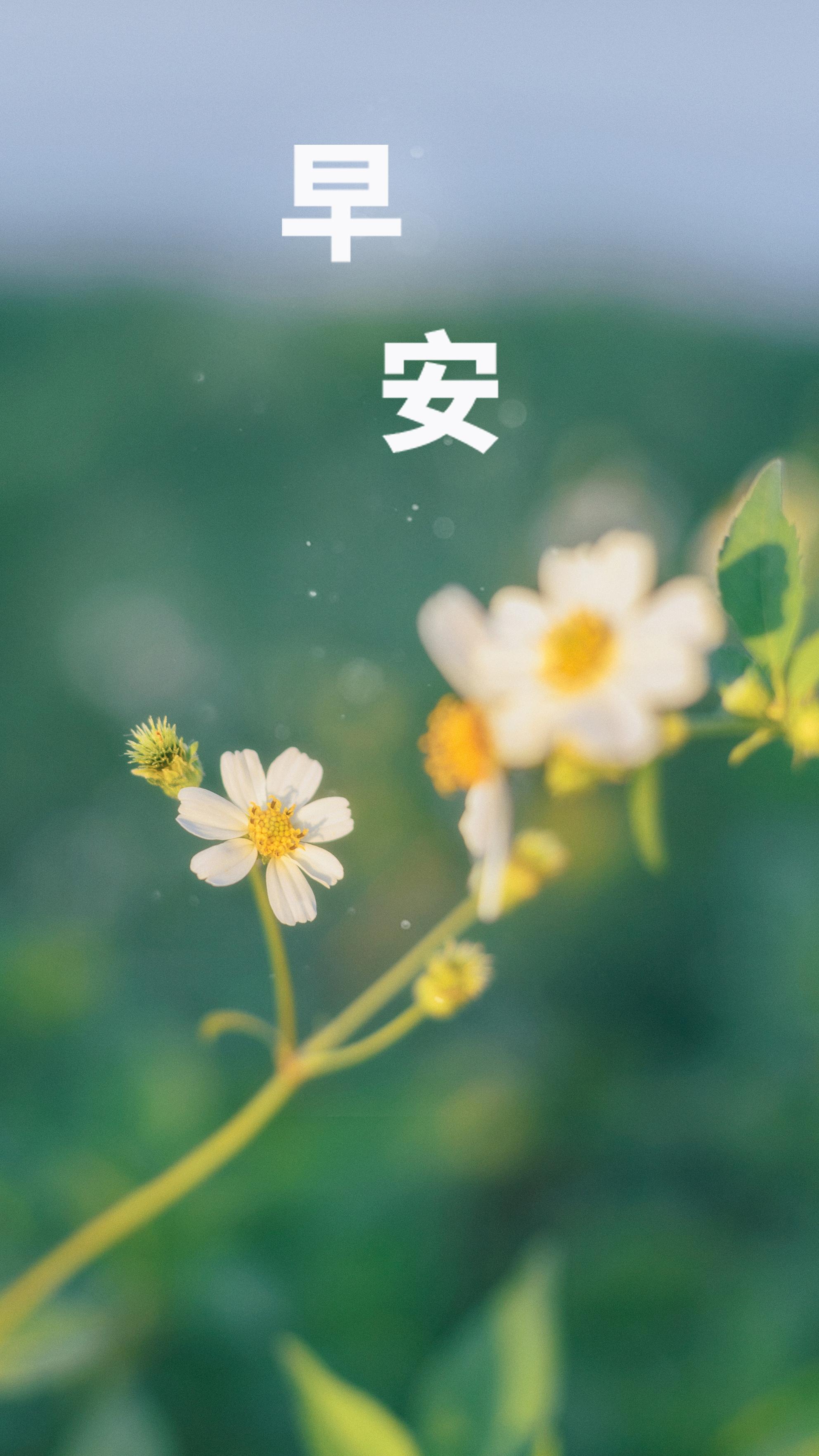 2021最新小清新早安配图