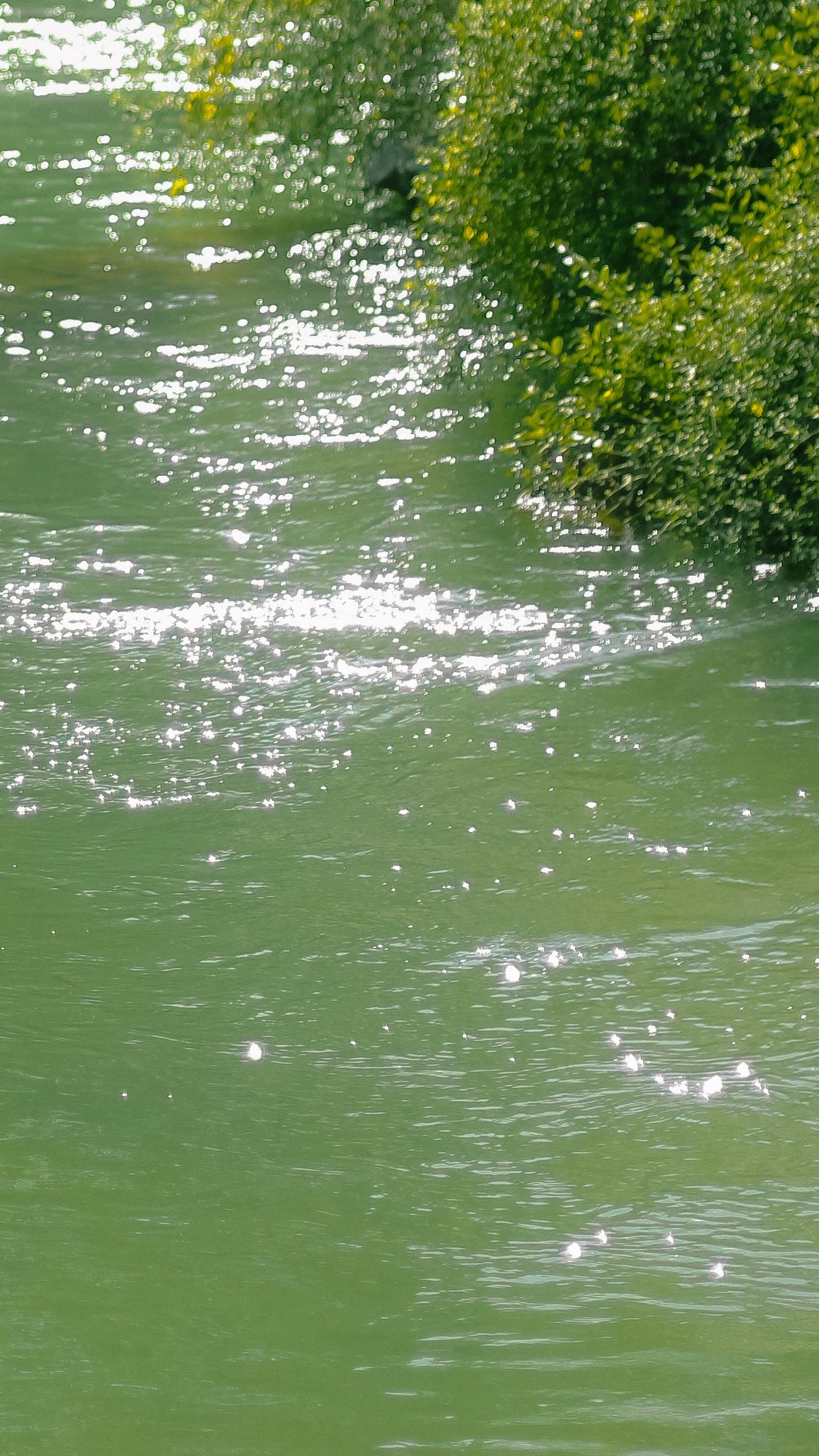阳光下流淌的清澈河水