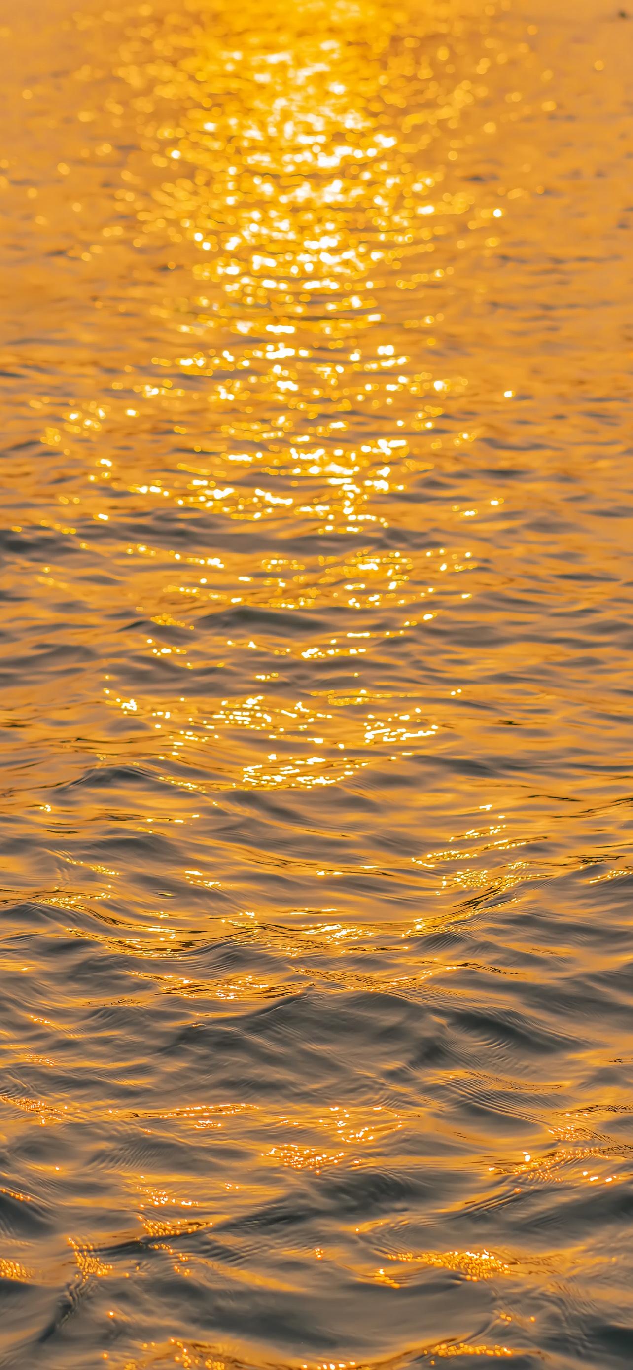金色海浪风景