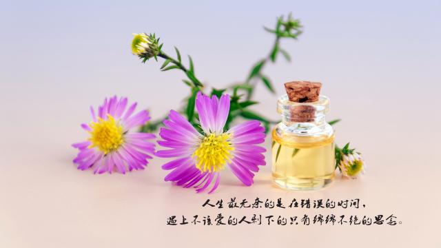 对现实生活心累的说说图片