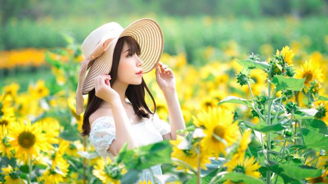 携一缕花香