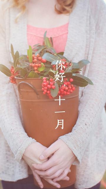小雪时节雪纷飞
