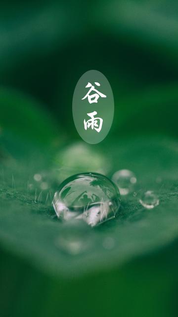 传统二十四节气谷雨