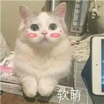 可爱非主流情侣