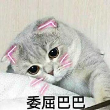 会撒娇的小猫咪