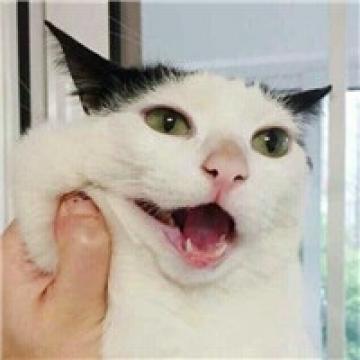 爱的欢声笑语