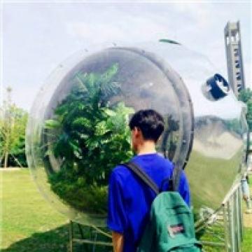 我的爱情只给你
