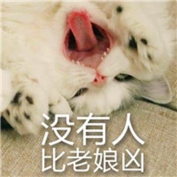 老子可是超级凶的