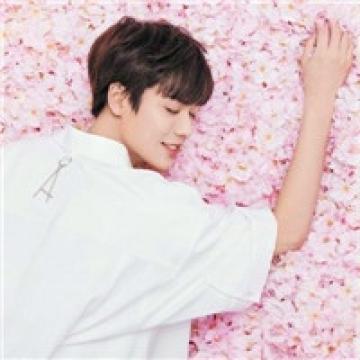 少女最爱的偶像男团