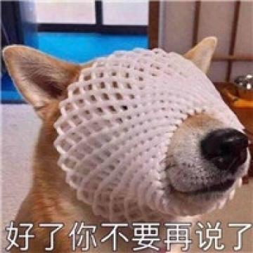 可爱动物表情包