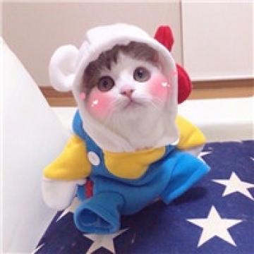 棒棒哒超萌宠物