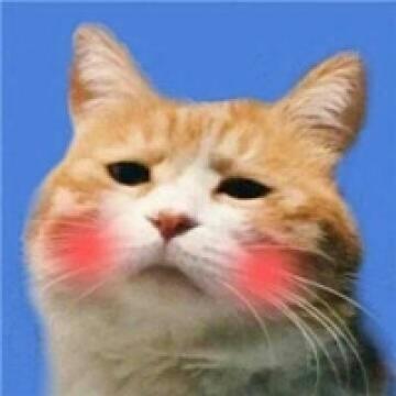 猫狗的恋爱游戏