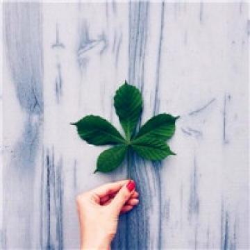 漂亮好看的手中物