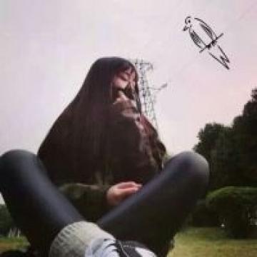 杂图，love送花花