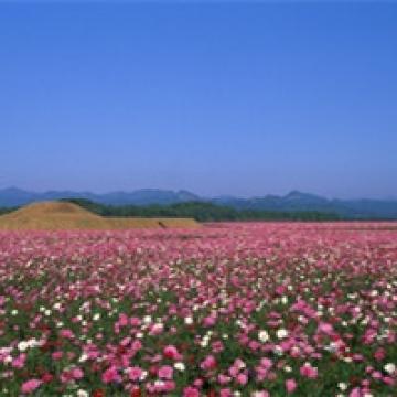 自然天堂盛景