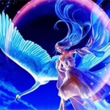 陌生花开缓缓归矣