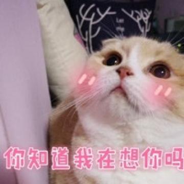 二货戏精的喵星人