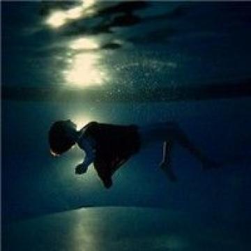 森系水域的生活