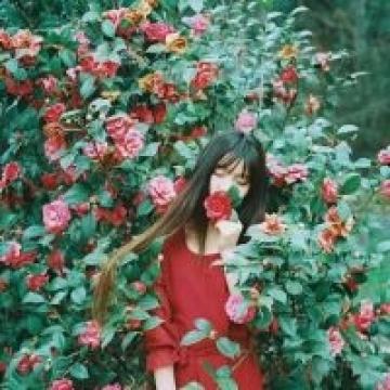 荼蘼清苑的少女与梦